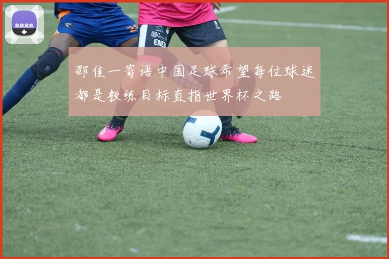 邵佳一寄语中国足球希望每位球迷都是教练目标直指世界杯之路